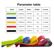 Load image into Gallery viewer, Fit Simplify Resistance Loop Exercise Bands with Instruction Guide, Carry Bag, EBook and Online Workout Videos, Set of 5