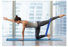 Load image into Gallery viewer, Fit Simplify Resistance Loop Exercise Bands with Instruction Guide, Carry Bag, EBook and Online Workout Videos, Set of 5