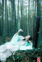 Load image into Gallery viewer, Chinese Traditional Folk Dance Costume Women Ancient Hanfu Dress Oriental Style Tang Dynasty Dance Clothing Girl Fairy Cosplay