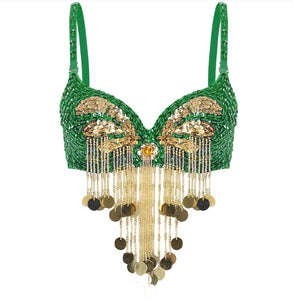 Belly Dance Bra Costume Dancing Dress