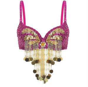 Belly Dance Bra Costume Dancing Dress