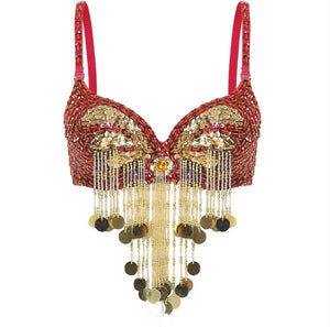 Belly Dance Bra Costume Dancing Dress