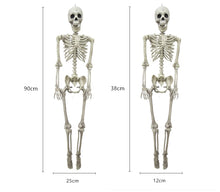 Load image into Gallery viewer, 36 Inch Halloween Prop Skeleton Full Size Skeleton Skull Hand Lifelike Human Body Poseable Anatomy Model Party Festival Decor