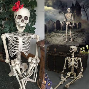36 Inch Halloween Prop Skeleton Full Size Skeleton Skull Hand Lifelike Human Body Poseable Anatomy Model Party Festival Decor