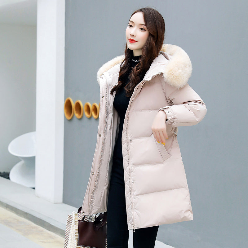 Hce08db6590b249b085c77c8792fd6cb6x.jpg
