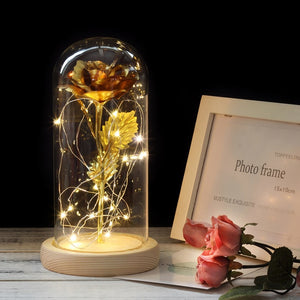 Hot Beauty And The Beast Red Rose In Glass Dome Wooden Base For  Decorate Valentine's Day Gifts Christmas LED Rose Lamps Flower