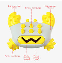 Load image into Gallery viewer, Interactive Rubber Pet Toy Multifunction Dog Toothbrush Popular Puppy Toys 2021 Crab Pincer Molar Pet Supplies Brushing Stick