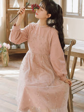 Load image into Gallery viewer, Korean Loose Sweet Mesh Embroidered Dress Fall Robe Femme Pink Vestidos Party Elegant Romantic Fairy Dress Y2K Puff Skirt Lady