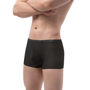 Men Low-Waist Ultra-Thin Transparent Mesh Bulge Pouch Underpants Breathable Cool Summer Ice Silk Underwear