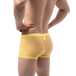 Men Low-Waist Ultra-Thin Transparent Mesh Bulge Pouch Underpants Breathable Cool Summer Ice Silk Underwear