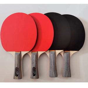 Professional Double-sided rubber Table Tennis Racket Set with 4 paddles + 6 balls,Carbon ping pong bat,
