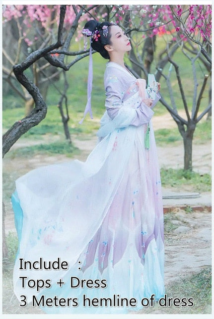 Tang Dynasty Ancient Costume Hanfu Dress Women Folk Dance Clothing Chinese Traditional Fairy Princess Dresses Stage Performance