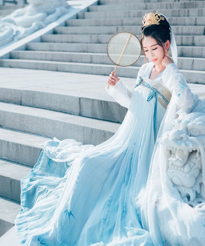 Tang Dynasty Ancient Costume Hanfu Dress Women Folk Dance Clothing Chinese Traditional Fairy Princess Dresses Stage Performance