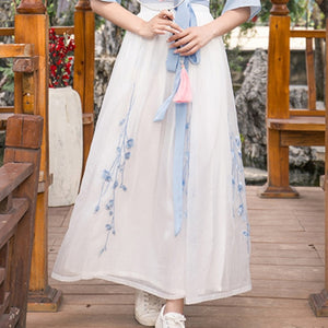 White China Han Element Clothing Blue Traditional Chinese Clothes Women Costume Hanfu Improved Pink Female Dynastie Tang Skirt