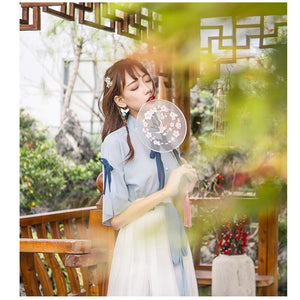 White China Han Element Clothing Blue Traditional Chinese Clothes Women Costume Hanfu Improved Pink Female Dynastie Tang Skirt