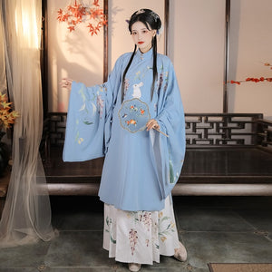 Women Chinese Traditional Costume Female Hanfu Clothing Lady Han Dynasty Princess Clothing Novelty Tang Dynasty Dress Fairy