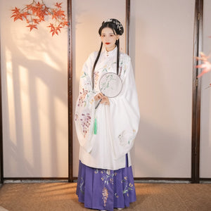 Women Chinese Traditional Costume Female Hanfu Clothing Lady Han Dynasty Princess Clothing Novelty Tang Dynasty Dress Fairy