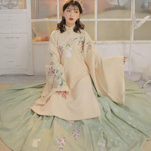 Women Chinese Traditional Costume Female Hanfu Clothing Lady Han Dynasty Princess Clothing Novelty Tang Dynasty Dress Fairy