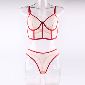 Women Sexy Lingerie 2 Piece underwear Set with Transparent Underwire Bra and Briefs See-Through Panties Erotic Sensual Underwear
